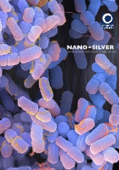 Nano silver: policy failure puts public health at risk