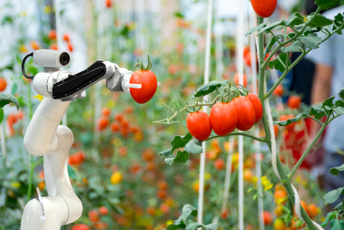 What will be the future of food?